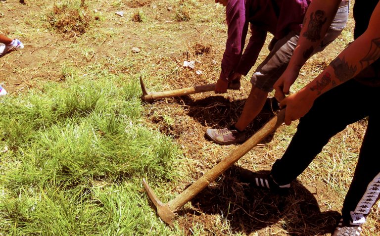 Pica por la soberanía